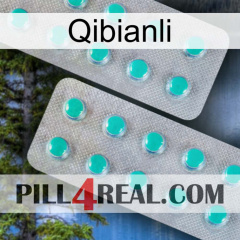 Qibianli 29
